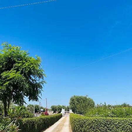 Nonno Ciccio